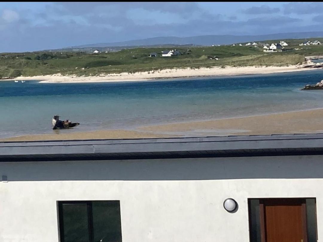 Ostan Gweedore Deluxe Apartments Bunbeg Exterior photo